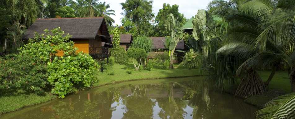 Sepilok Nature Resort - Sepilok Nature Resort 