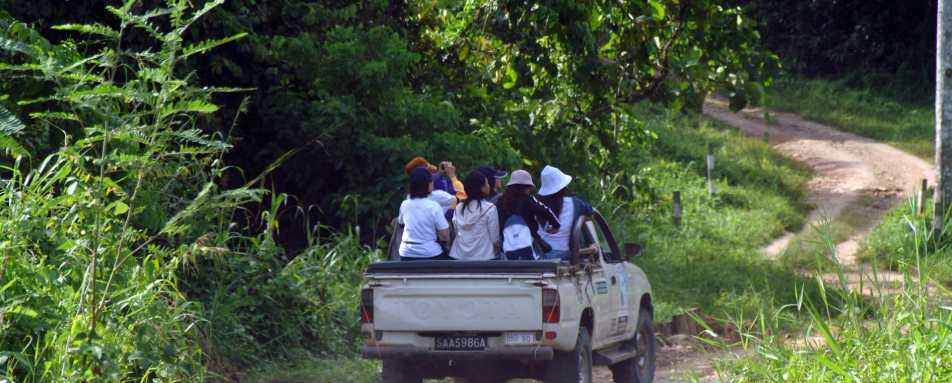 Game Drive - Tabin Wildlife Resort