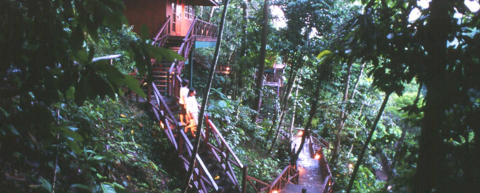 Hill Lodge - Tabin Wildlife Resort