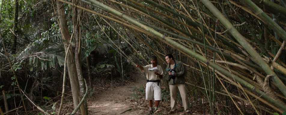 Nature Walk - Tanjong Jara