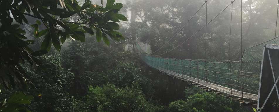 Borneo Rainforest Lodge Canopy Walk