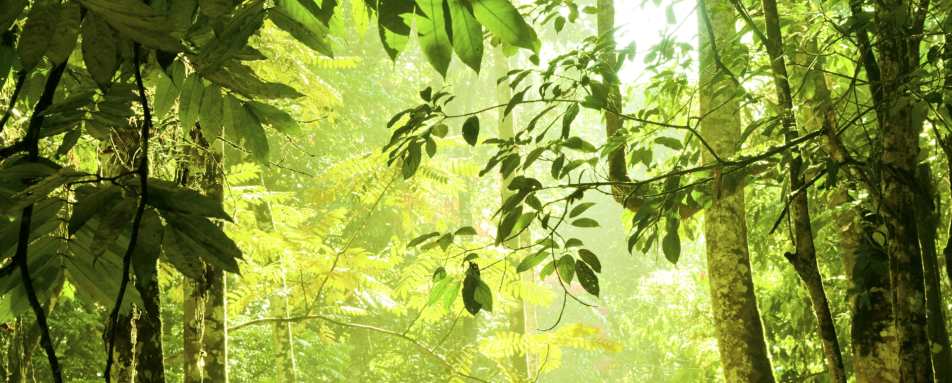 Tabin Lipad Waterfall