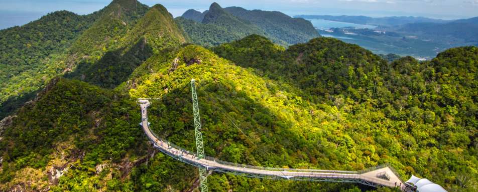 Langkawi Dense Jungle 