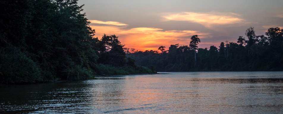 Kinabatangan River - 