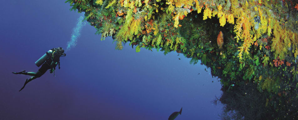 - Golden Wall House Reef 