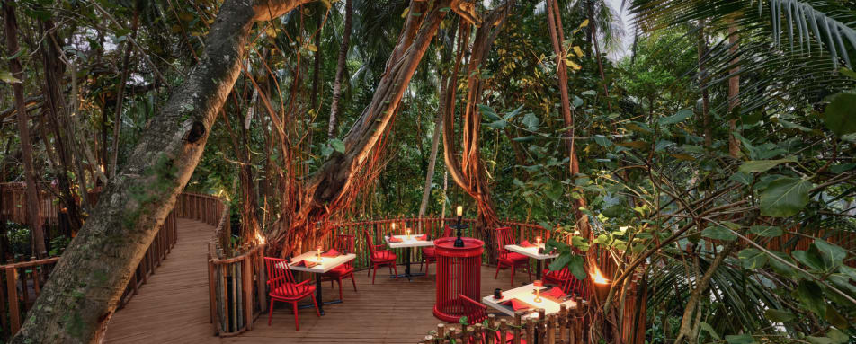 Nest Tree top Dining 