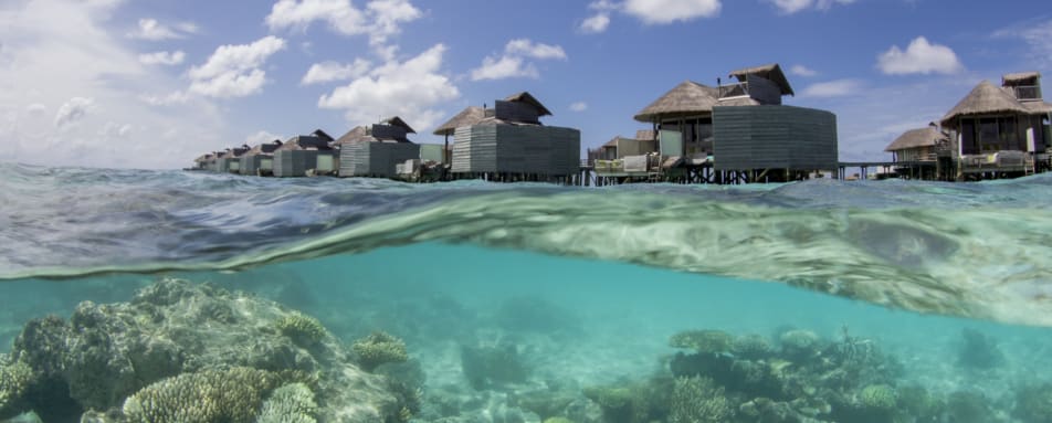 water villa and reef 