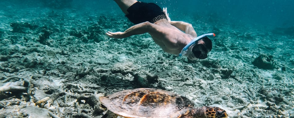 Diving and Water Sports 