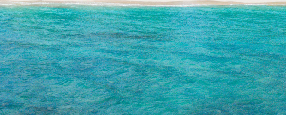  Soneva Fushi- Snorkelling 