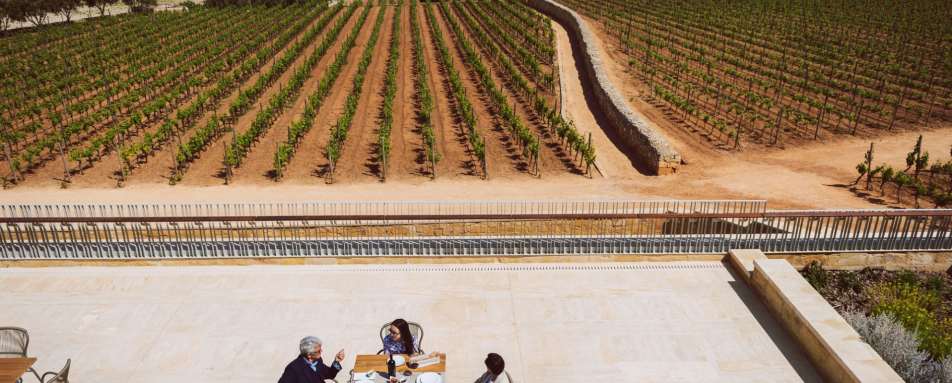 Private Tastings at Ta Betta Vineyards 