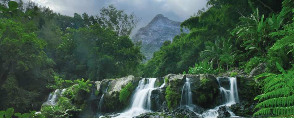 Waterfall at Plantation House - Four Seasons Resort Mauritius at Anahita