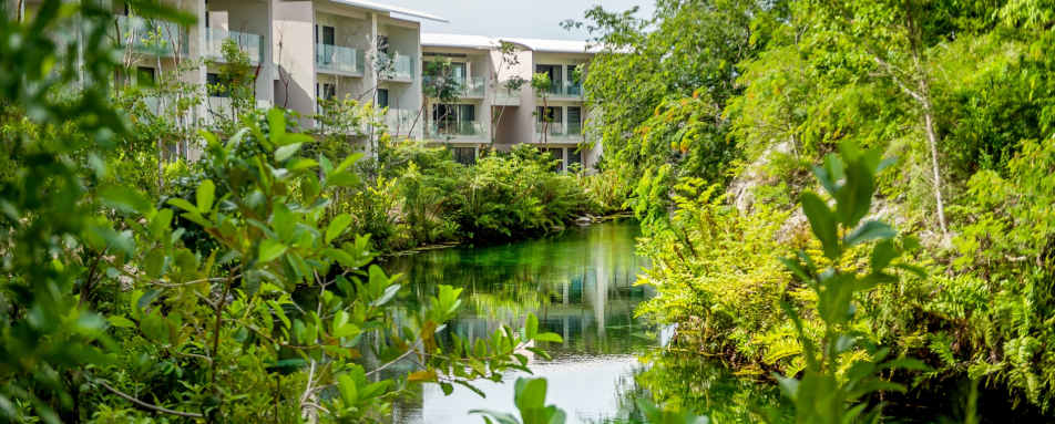 Lagoon View Rooms and Suites - Andaz Mayakoba Resort Riviera Maya