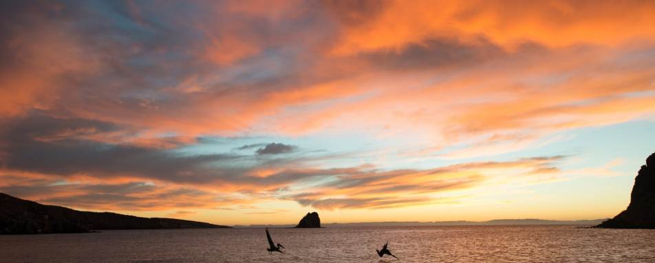 Sea of Cortez - Camp Cecil