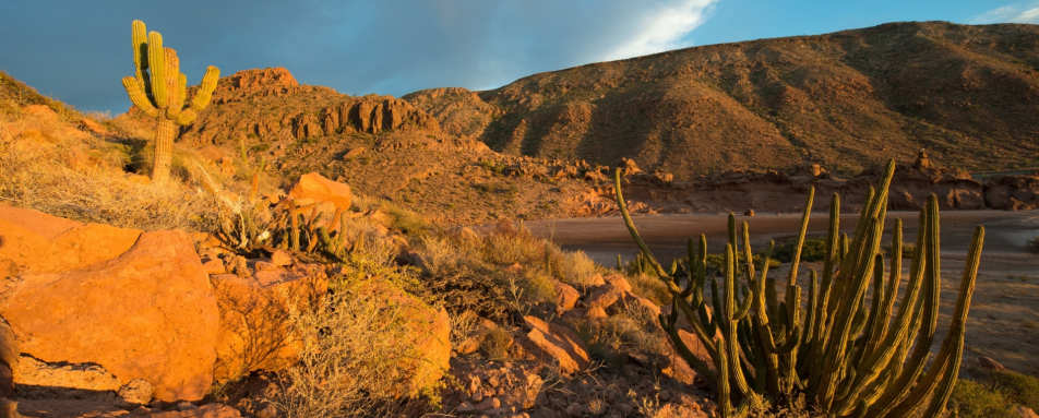 Isla Espiritu Santo - Camp Cecil