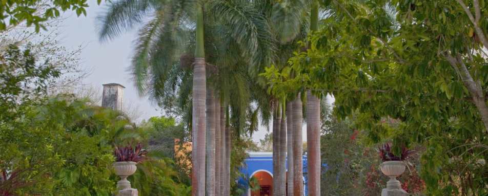 Garden - Hacienda San Jose