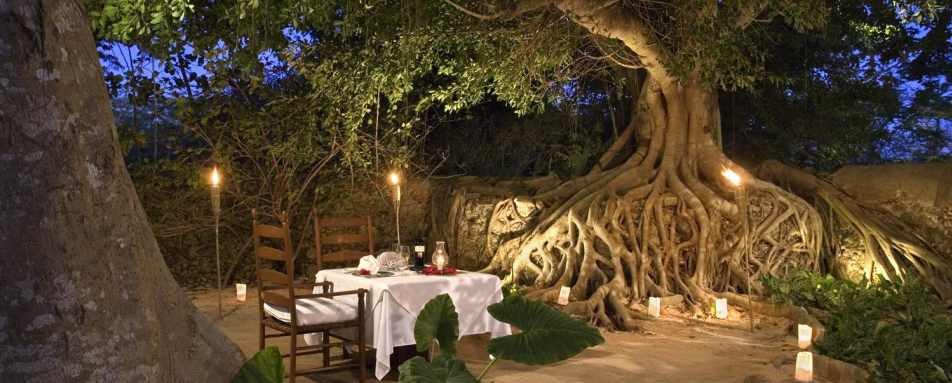 Romantic dinner - Hacienda San Jose
