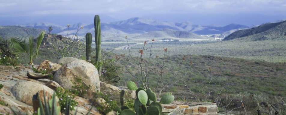 Landscape   - Hotel Guaycura