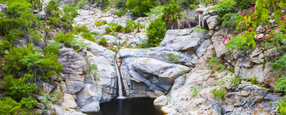 Explore the Laguna Mountains - Hotel Guaycura