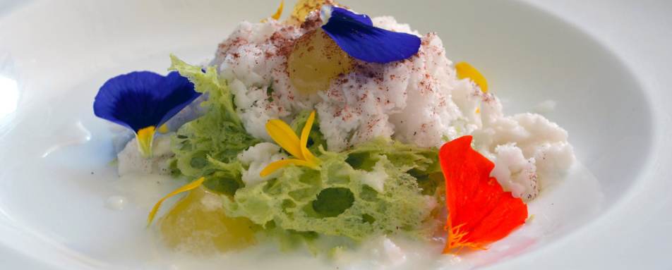 Dining - Hotel Matilda