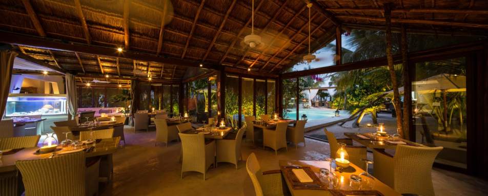 Sahara Cafe - Jashita