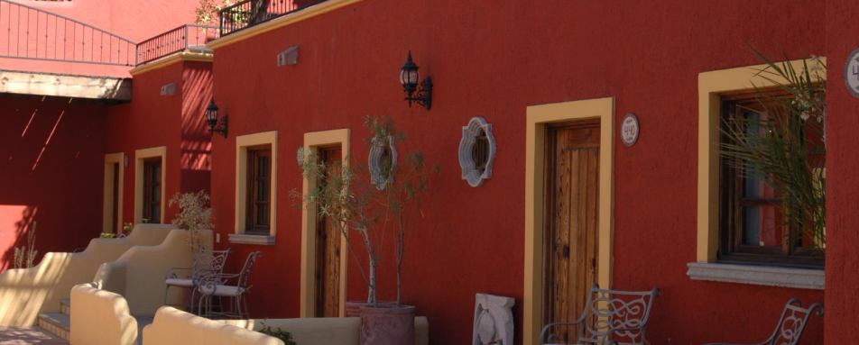 Cactus - Posada de las Flores La Paz