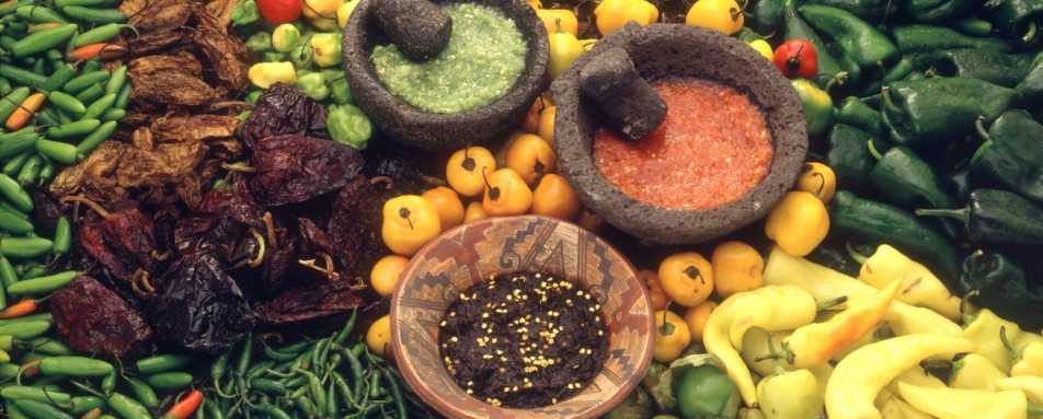 Fresh ingredients - The Tastes of Mexico