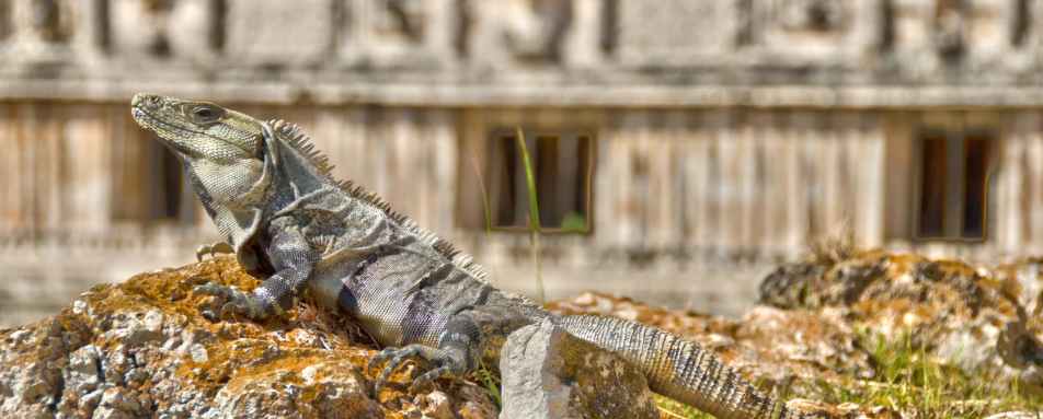 Uxmal ruins - Mayan Mysteries & Beautiful Beach