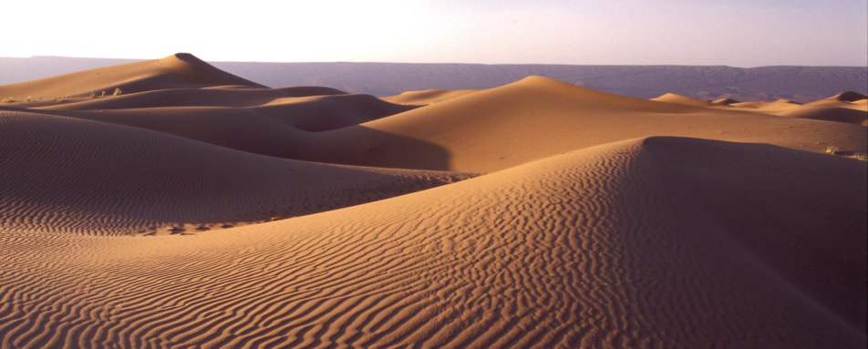 Sand Dunes - Dar Ahlam Nomad Camp