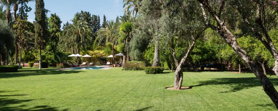 Gardens and lawn - Dar Zemora