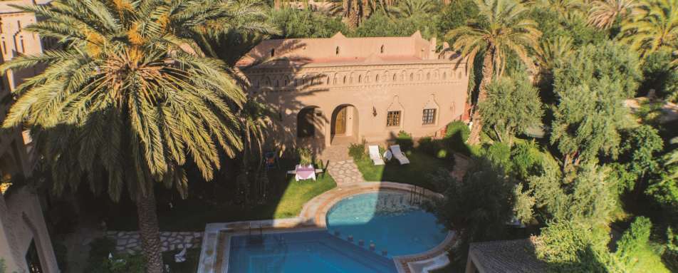 Swimming Pool and surrounding palm grove