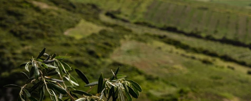 Restaurant - La Fiermontina Ocean  