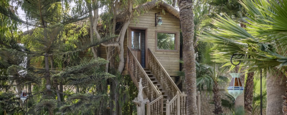 Treehouse 