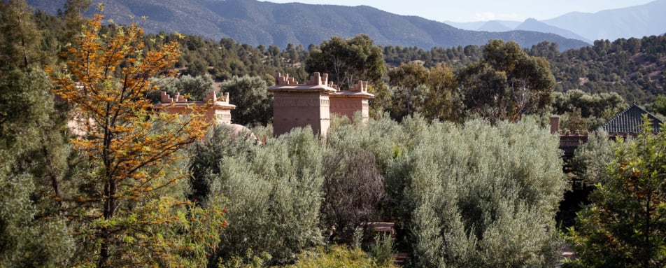 Property View - Olinto  