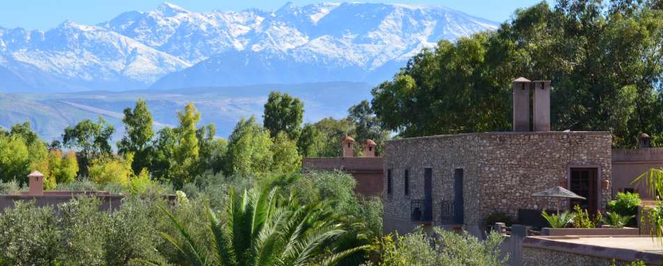 Surrounding view - The Capaldi