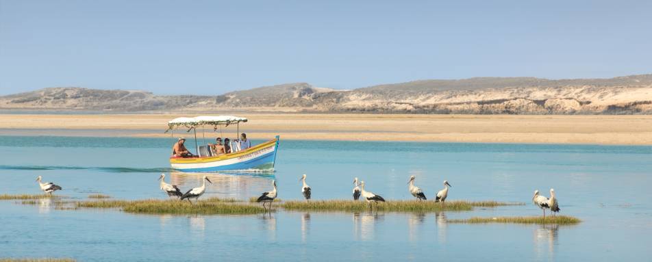 Oyster Farm visit and picnic lunch