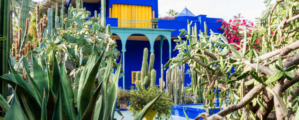 Majorelle Garden Justin Mauldin 