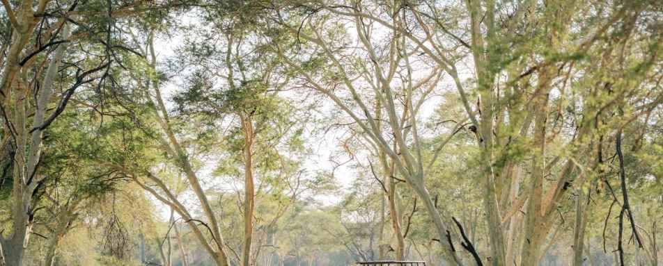 Game drive 