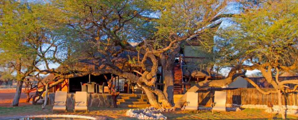 Camelthorn Kalahari Lodge - Main area