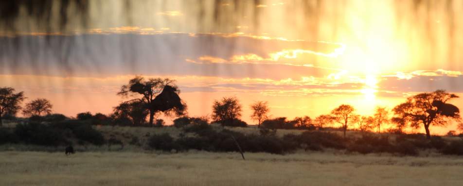 Kalahari Red Dunes Lodge