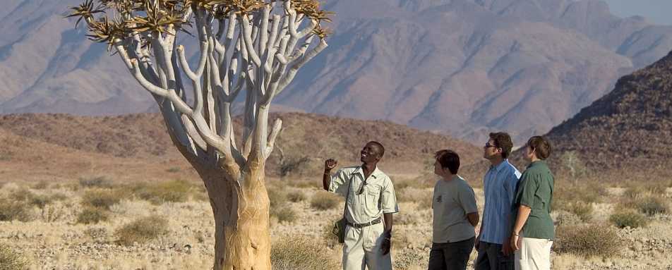 Nature walks - Kulala Desert Lodge