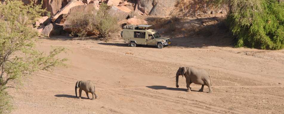 Viewing elephants - Ozondjou Trails