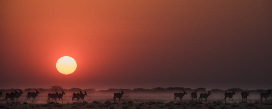Sunset over the plains - Safarihoek Lodge