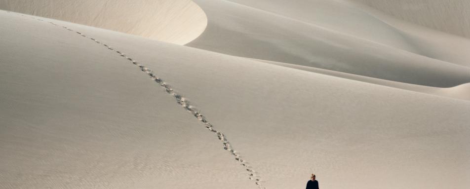 Dunes - Shipwreck Lodge