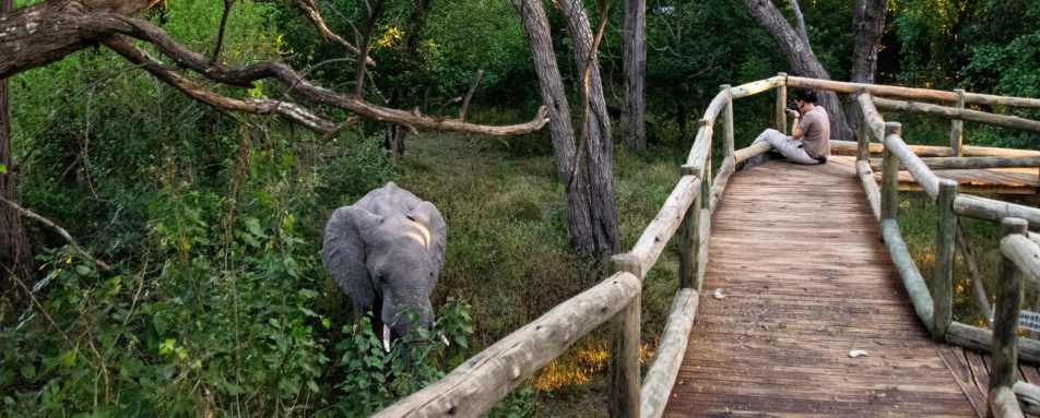 Sightings from the camp 