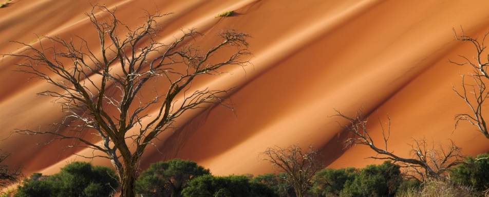 Sossusvlei 