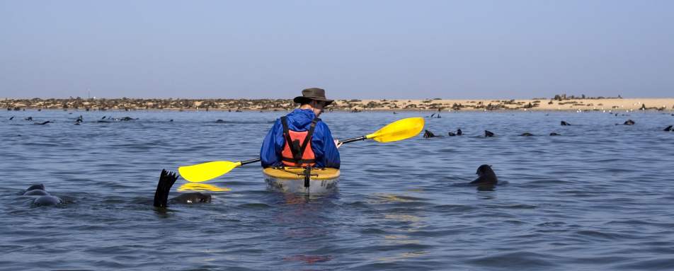 Kayaking with seals - Namibia for Teenagers