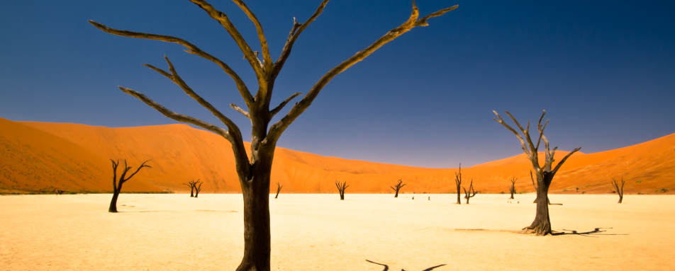 Dead Vlei - Namibia for Teenagers