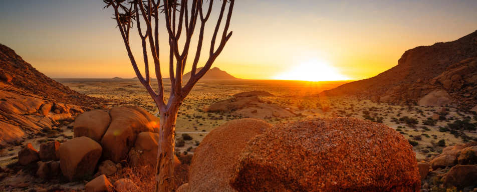Quiver Tree, Damaraland - Northern Namibia & The Skeleton Coast 