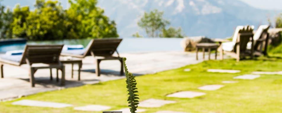 Poolside restaurant views  
