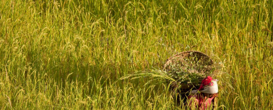 Nepal - Adventure in Nepal